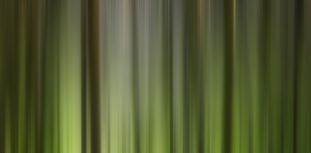 DS7 9835 2